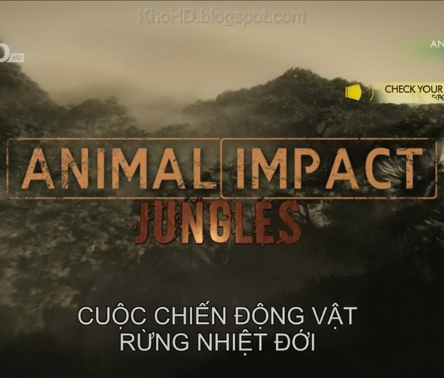 KH073 - Document - Animal Impact Jungles (2.4G)